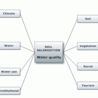 Water Quality3